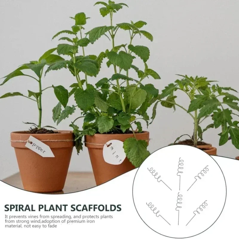 Bonsai Garden Usa - Climbing Plant Support Stake Stand Climbing