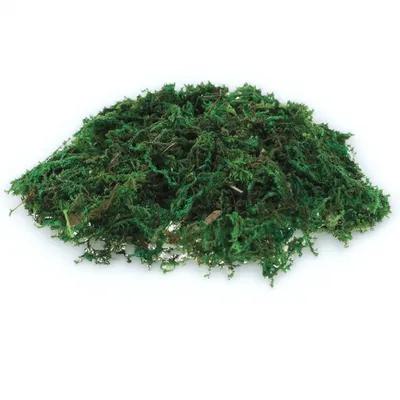 Bonsai Garden Indoor - 1Pack Natural-Looking Fake Moss Decor for