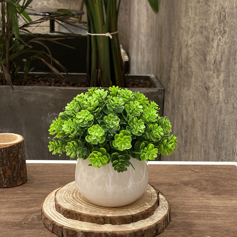 Realistic Fake Bonsai Artifici - Bonsai Garden And Cafe recension och pris