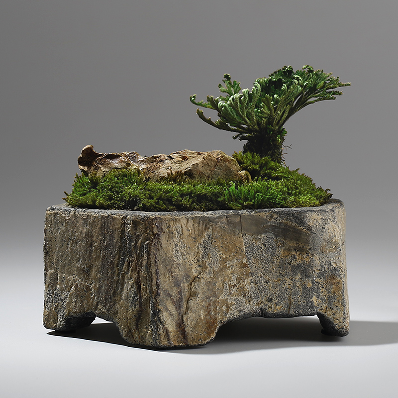 Basalt Natural Stone Flower Po - Bonsai Garden Indoor recension och pris