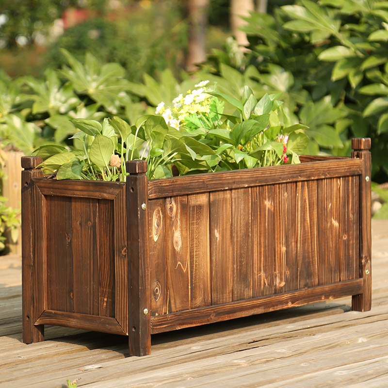 Create a Balcony Small Garden  - Bonsai Garden Indoor recension och pris