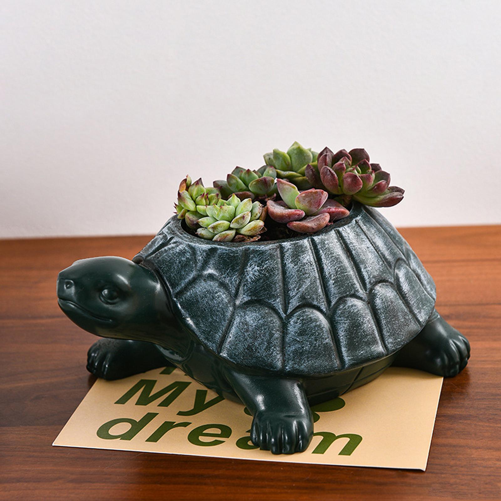 Turtle Planter Flower Pot Coll - Bonsai Garden And Cafe recension och pris