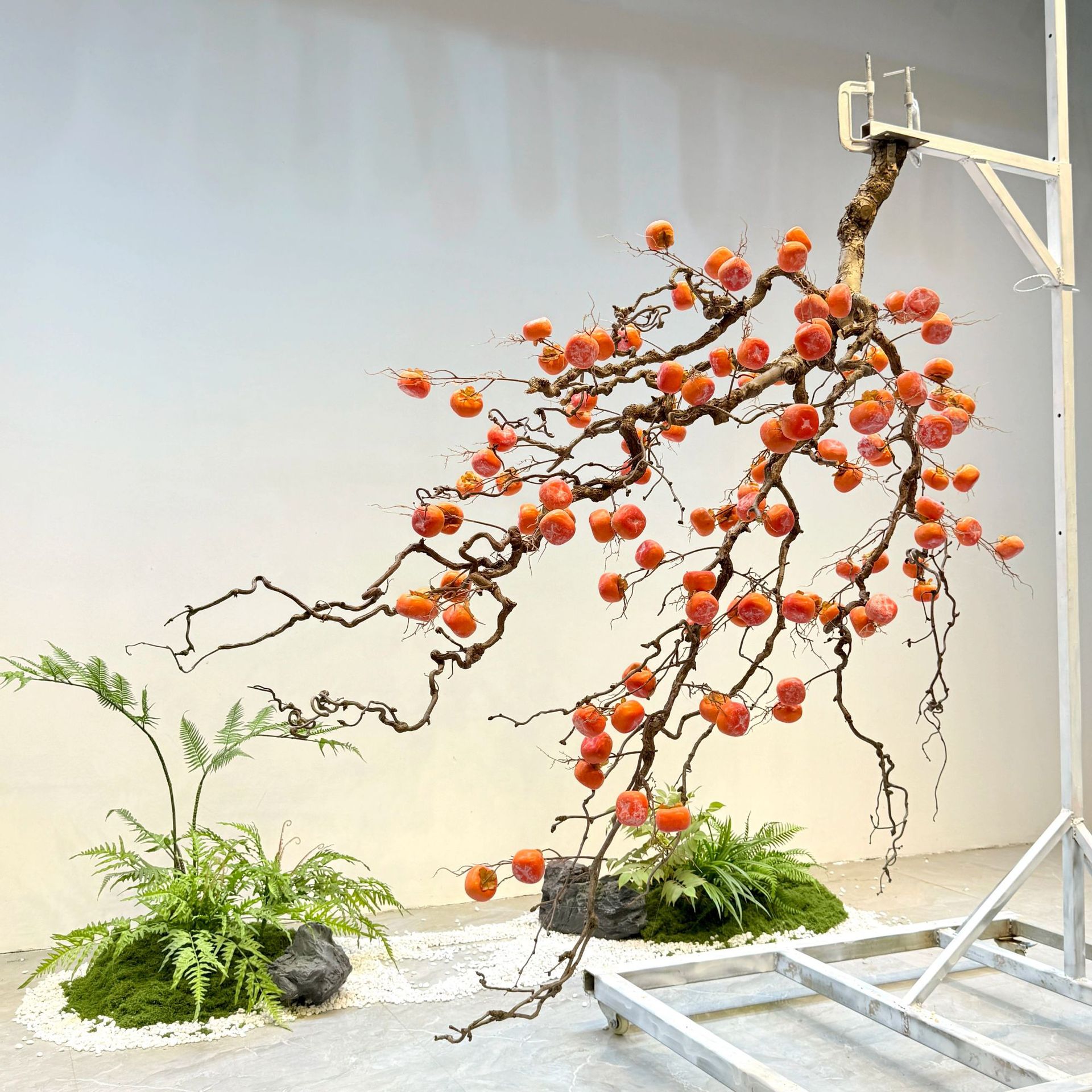 Simulated persimmon tree hangi - Bonsai Garden Wall recension och pris
