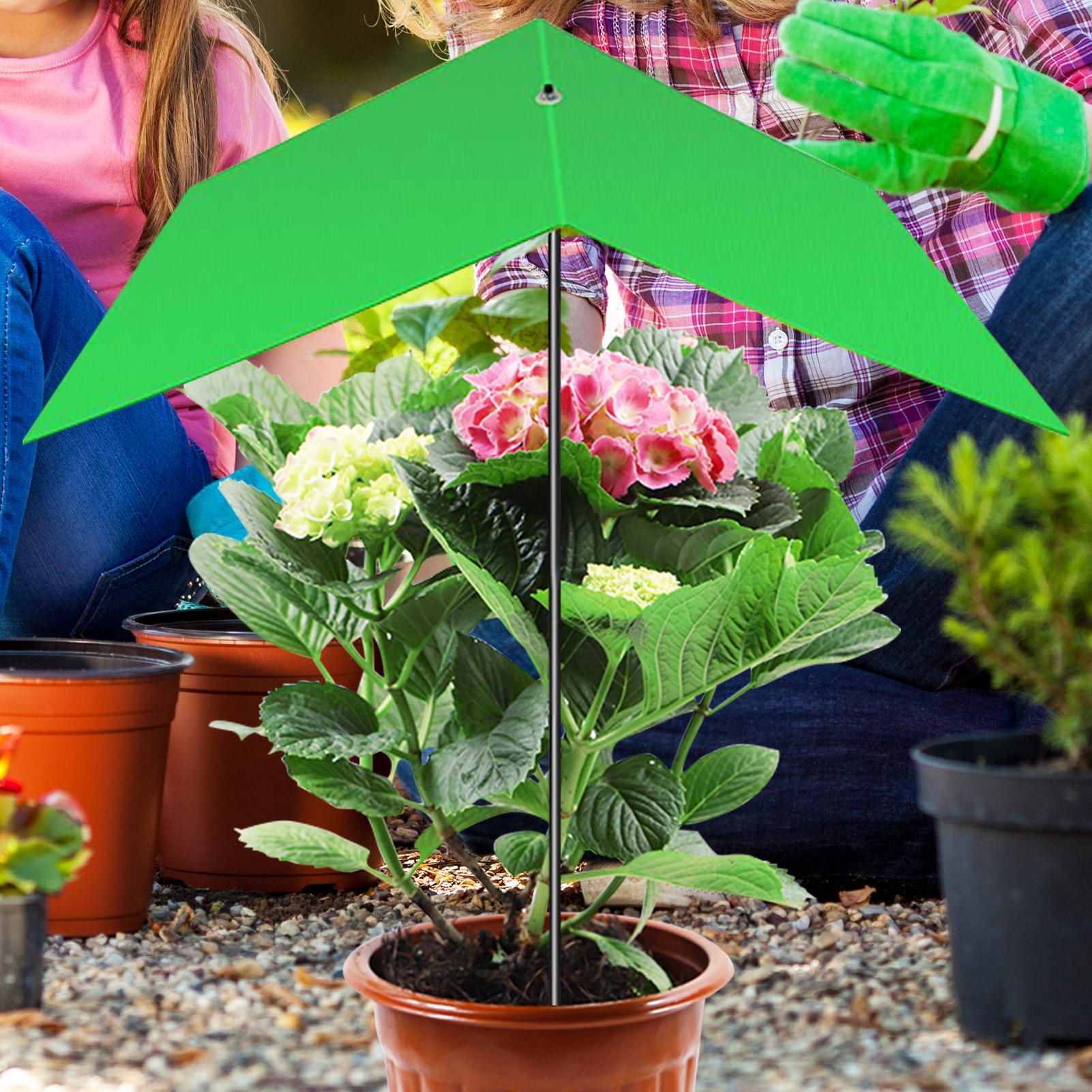 Plant Umbrella Anti-UV Heat Re - Bonsai Garden And Cafe recension och pris