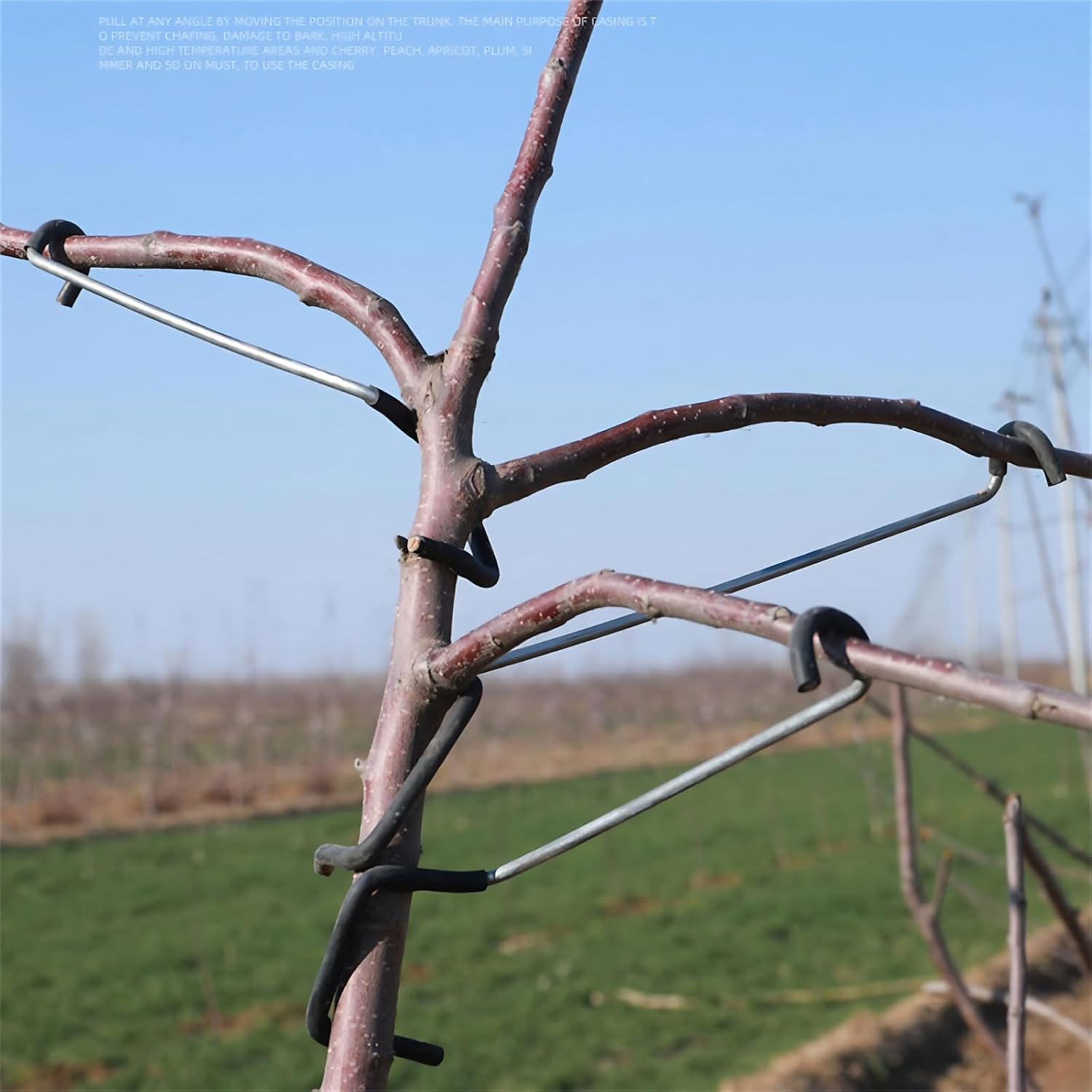 Adjustable Fruit Tree Branch S - Bonsai Garden Usa recension och pris
