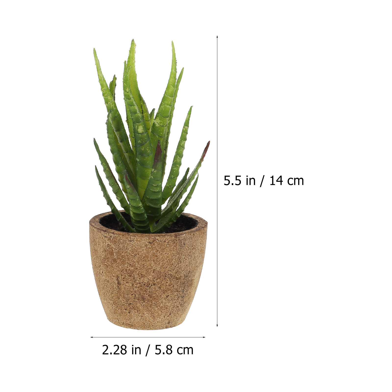 4Pcs Simulation Succulent Bons - Bonsai Garden And Cafe recension och pris