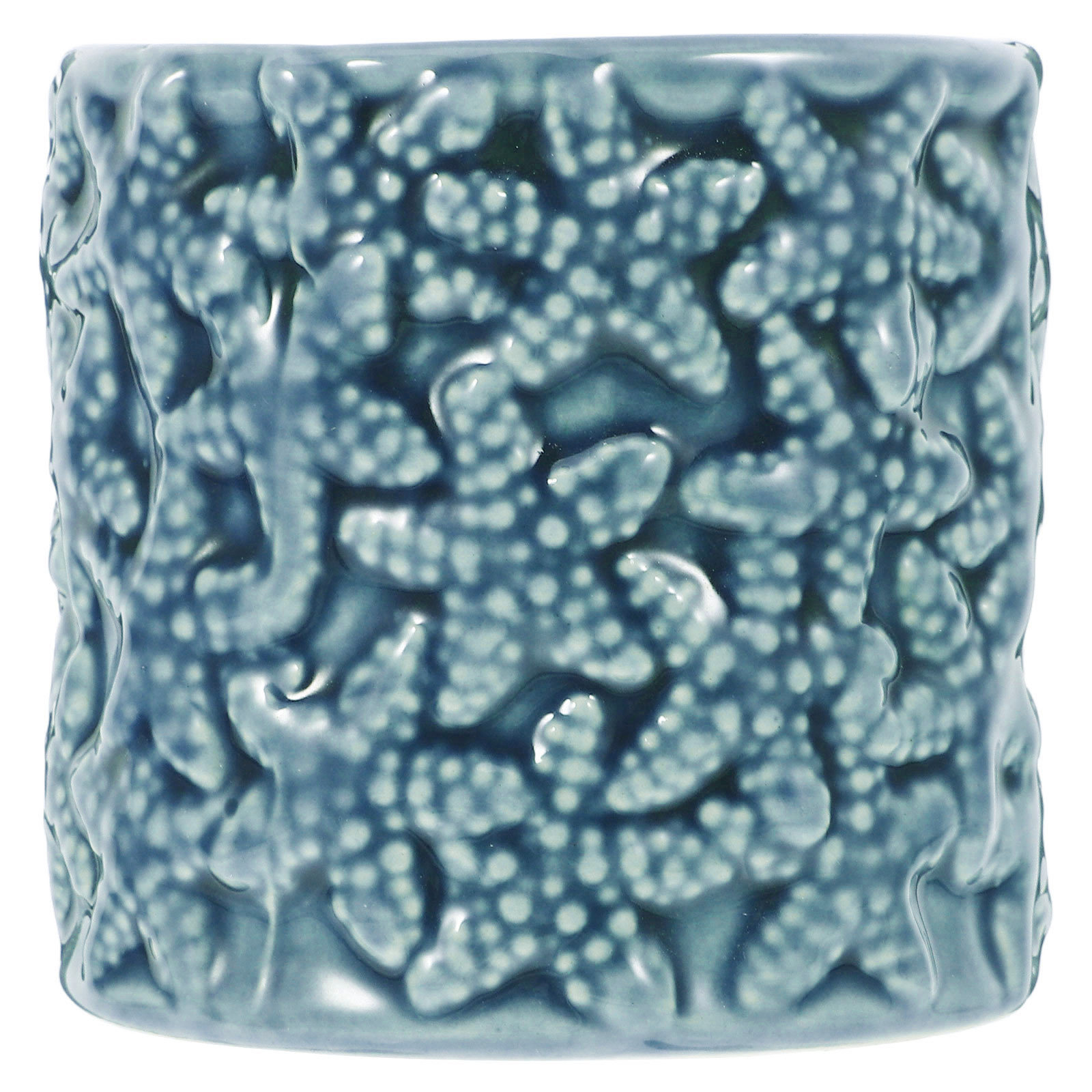 Ceramic Sea Shell Shaped Plant - Bonsai Garden Indoor recension och pris